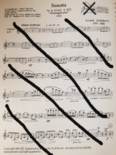 Load image into Gallery viewer, Franz Schubert SONATA D. 821 arranged in G minor for Bb Clarinet and Piano By: Yoel David