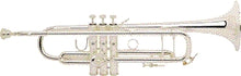 Load image into Gallery viewer, Bach “Stradivarius” 180 Series Professional Trumpet - B180S37