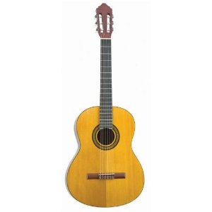 Jasmine by Takamine Classical Acoustic  Guitar - C20