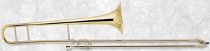 Bach Trombone Professional Clear Lacquer LT16M