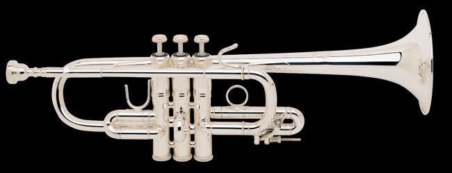 Bach Trumpet Key of D D180