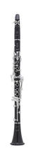 Load image into Gallery viewer, Selmer PARIS/SELES Prologue Bb Clarinet