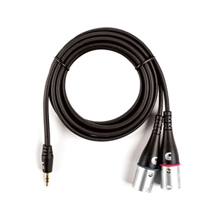 D'addario Custom Series 1/8" to Dual XLR Audio Cable
