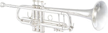 Load image into Gallery viewer, Bach 180S37 Stradivarius Series Bb Trumpet