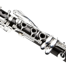 Load image into Gallery viewer, Buffet Crampon R13 Professional Bb Clarinet with Silver plated Keys