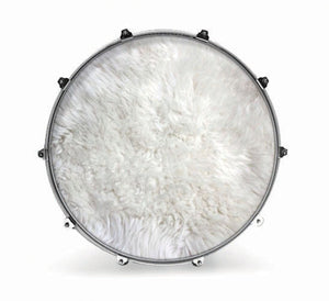 Evans Fabrics Bass Drum Head - Polar Bear Fur