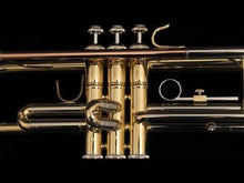 Load image into Gallery viewer, Bach 201 Student Trombone