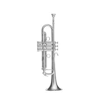 Load image into Gallery viewer, B&amp;S &quot;X-Series&quot; EXC Artist Signature C Trumpet