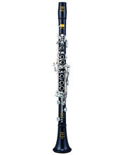 Load image into Gallery viewer, Patricola Professional Bb Clarinet
